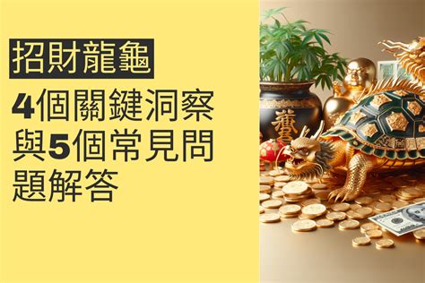 龍龜淨化|揭秘招財龍龜的神秘力量：4個關鍵洞察與5個常見問題解答